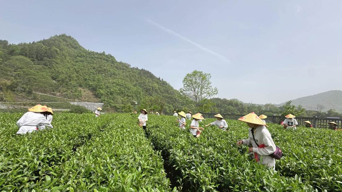 19d150d66702ed727aee793fecca9ce